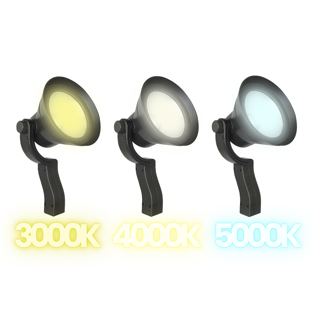 CCDA95-3CCT Spot Light