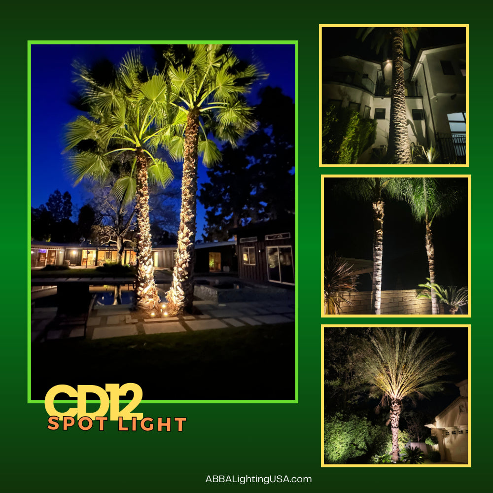 CD12-Integrated Spot Light