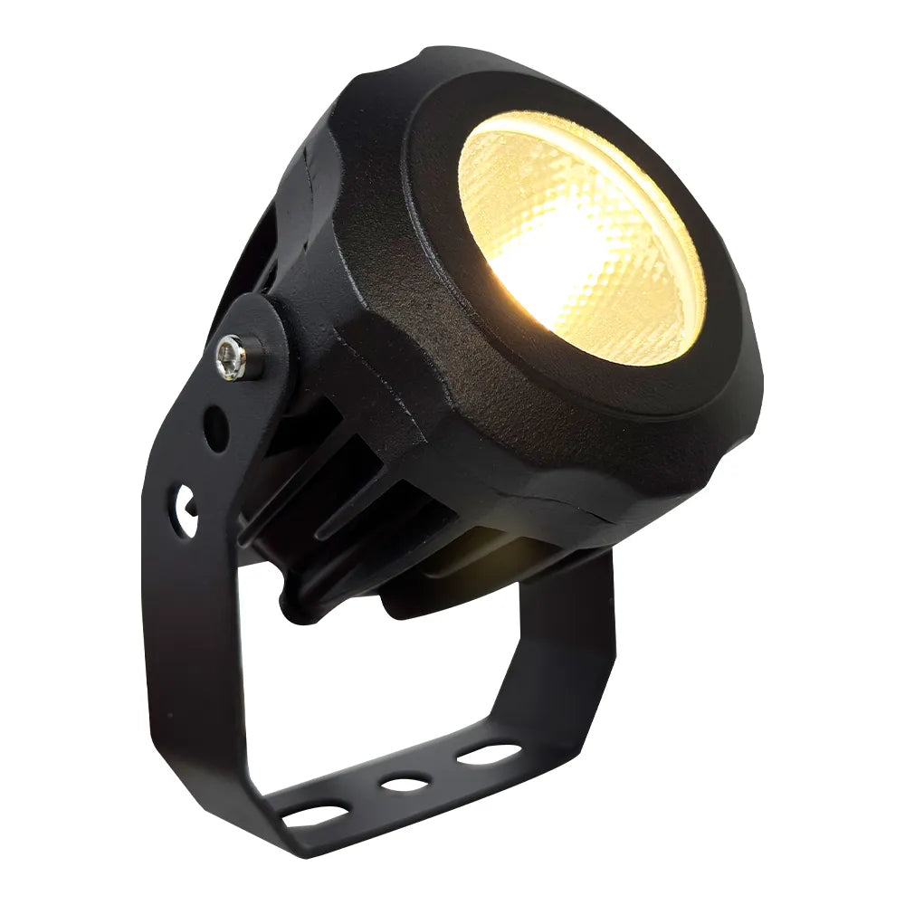 CD20-Integrated Spot Light