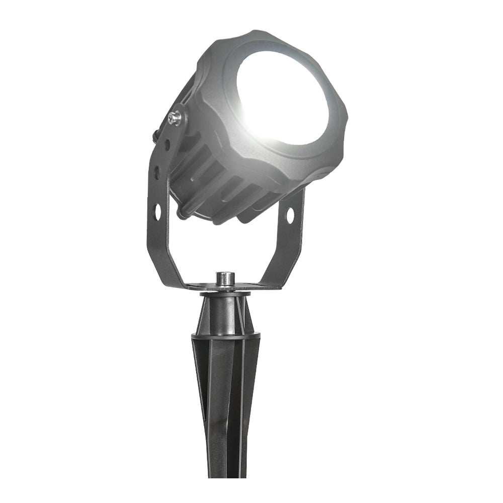 CD20-Integrated Spot Light