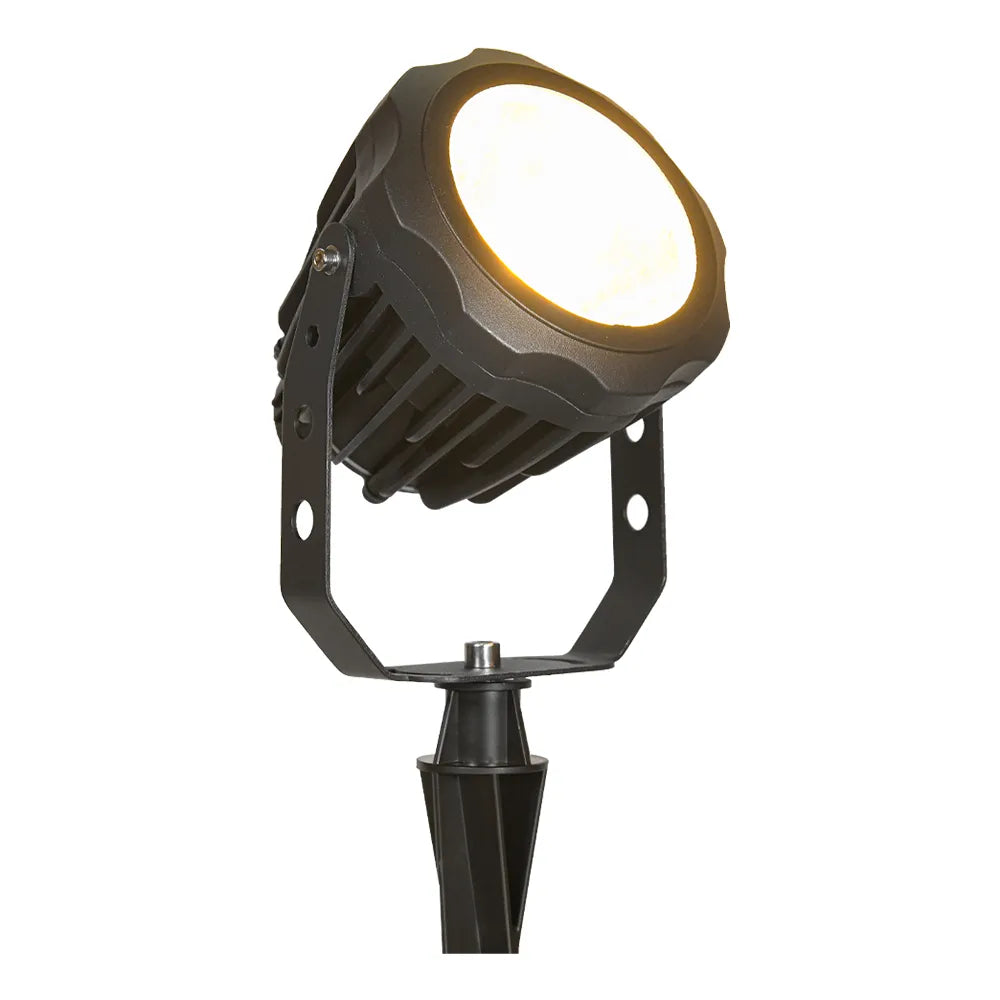 CD30-Integrated Spot Light