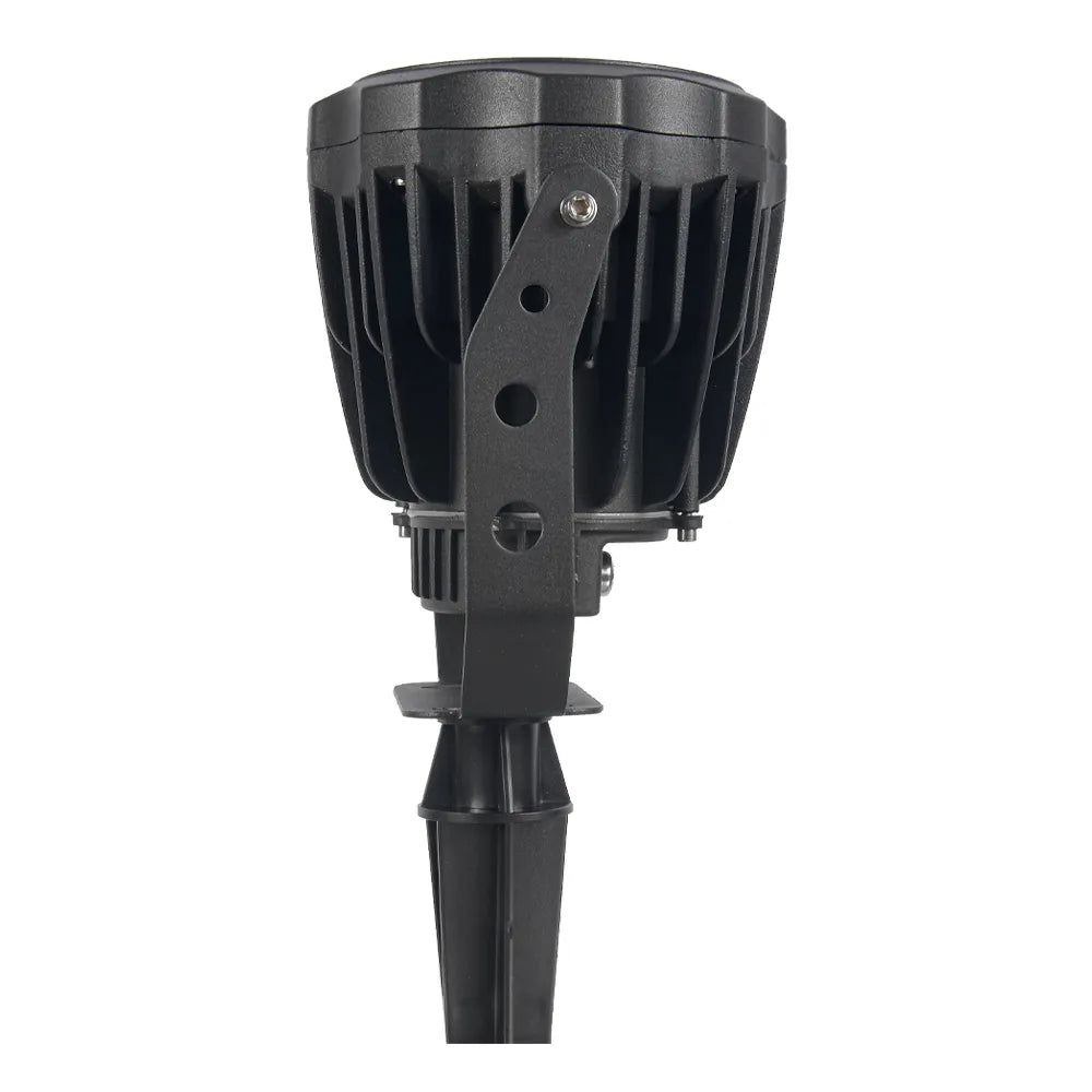 CD30-Integrated Spot Light