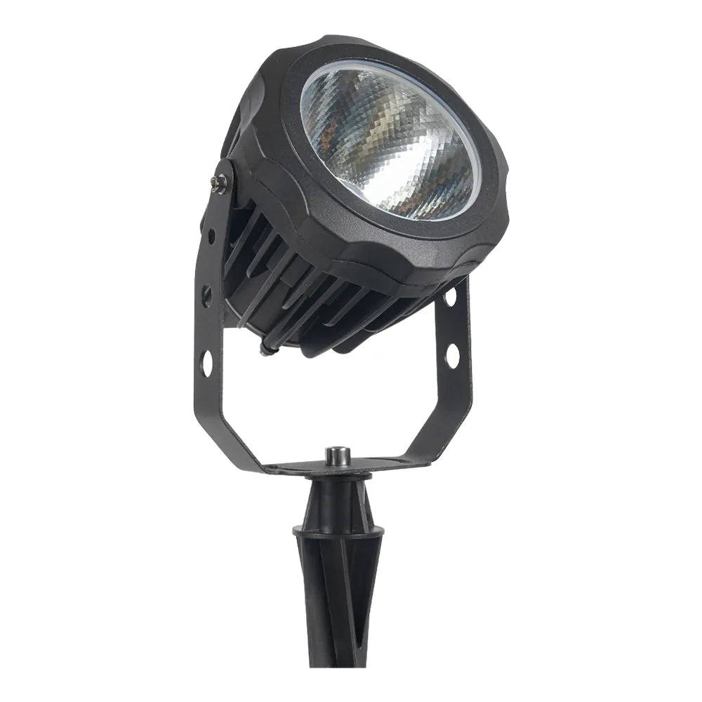CD30-Integrated Spot Light