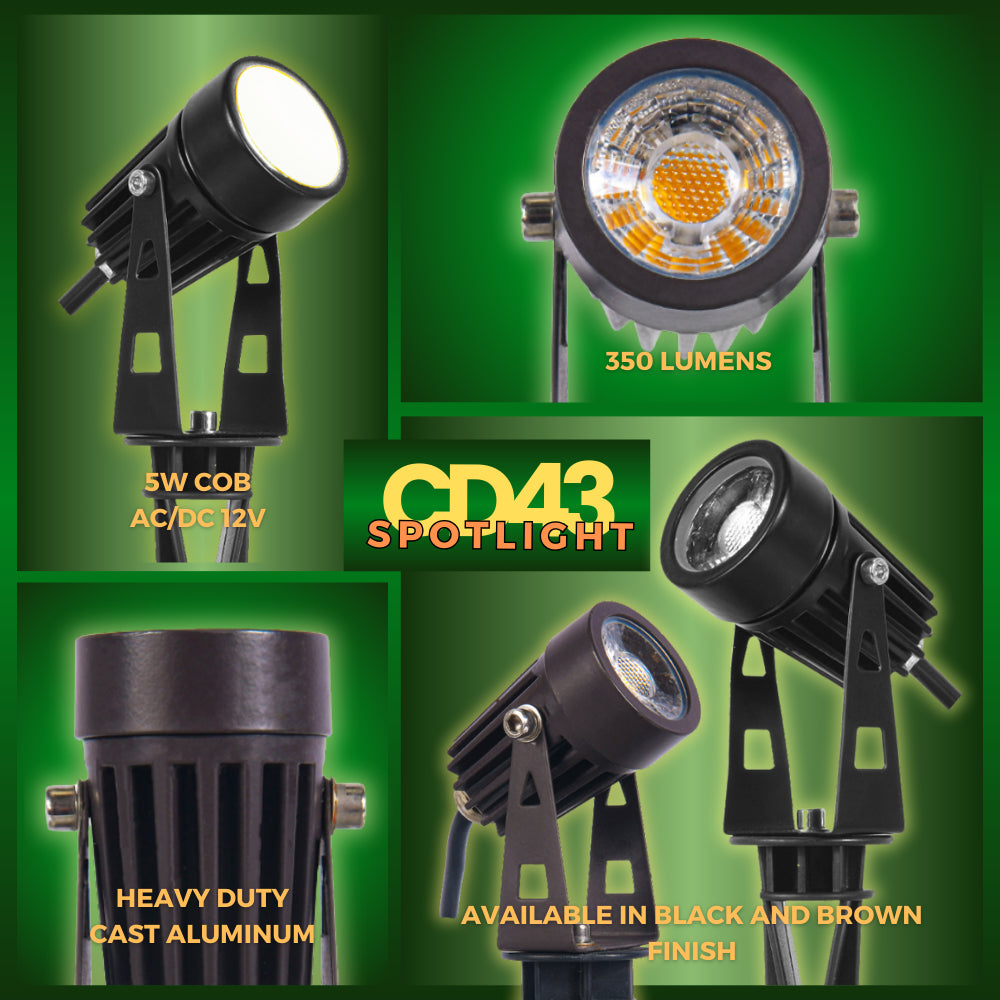 CD43-Integrated Spot Light