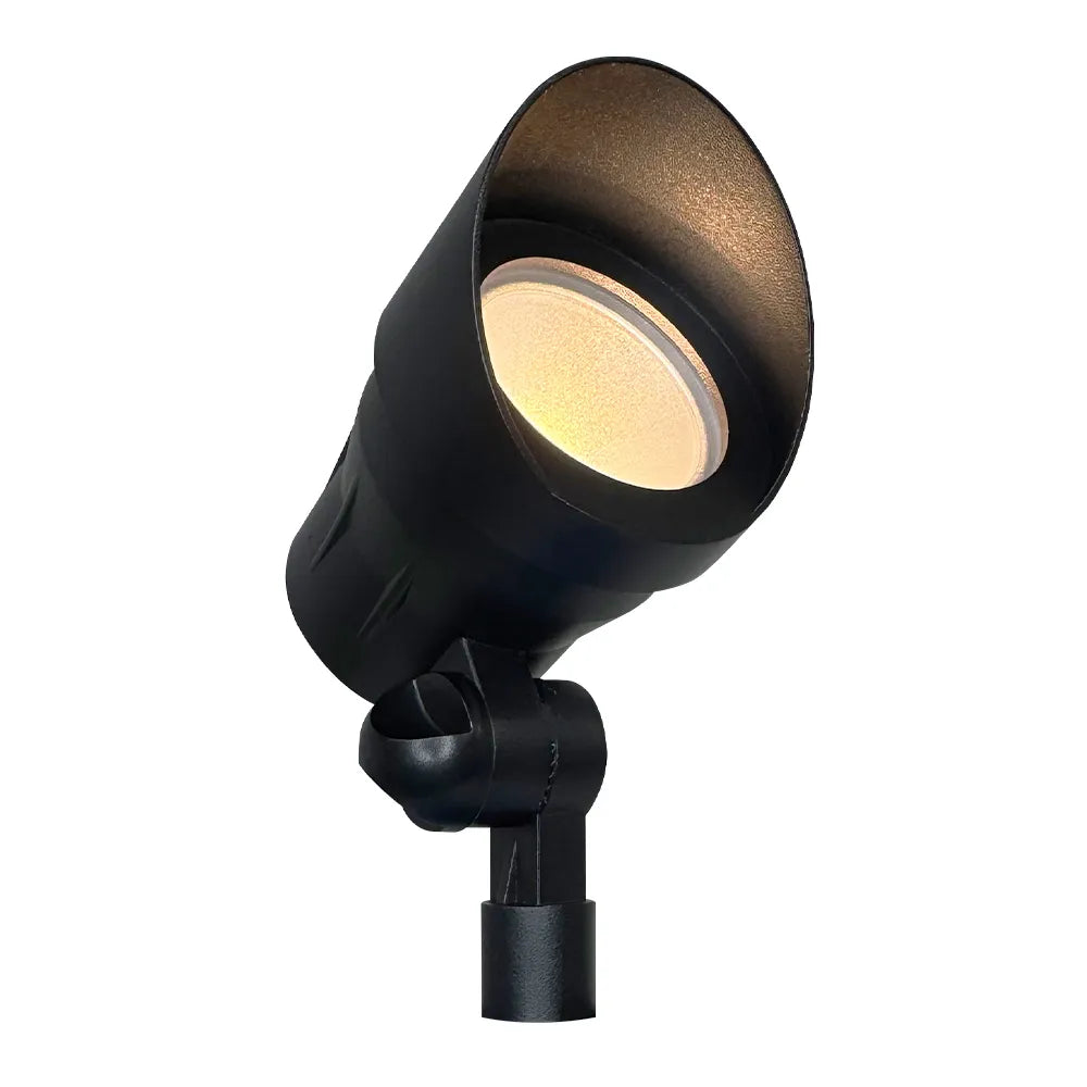 CD45-Integrated Spot Light