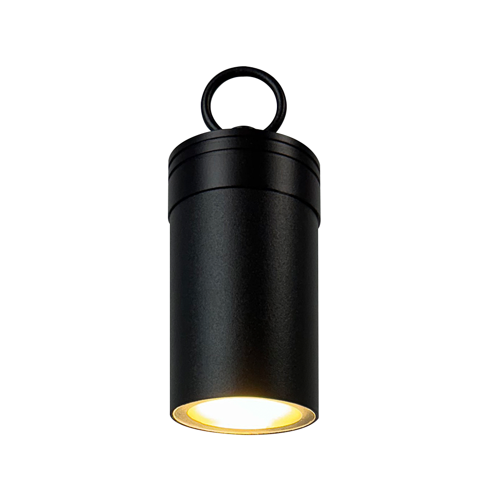 CD90-Integrated Hanging Light